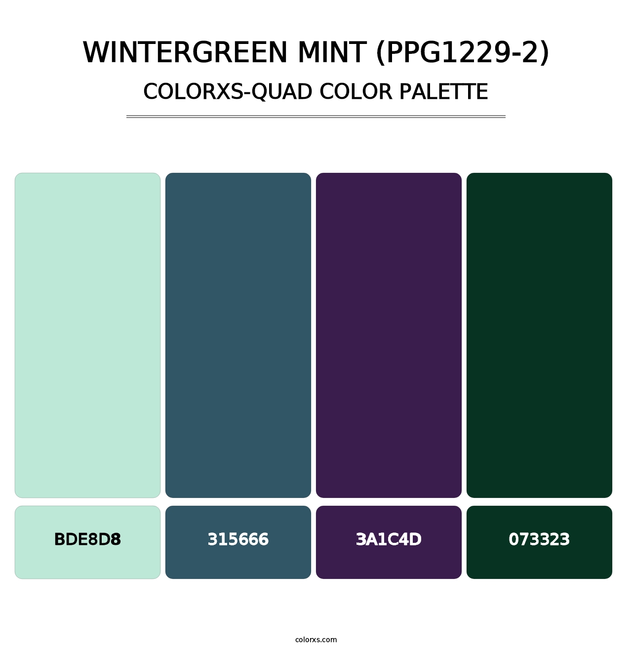 Wintergreen Mint (PPG1229-2) - Colorxs Quad Palette
