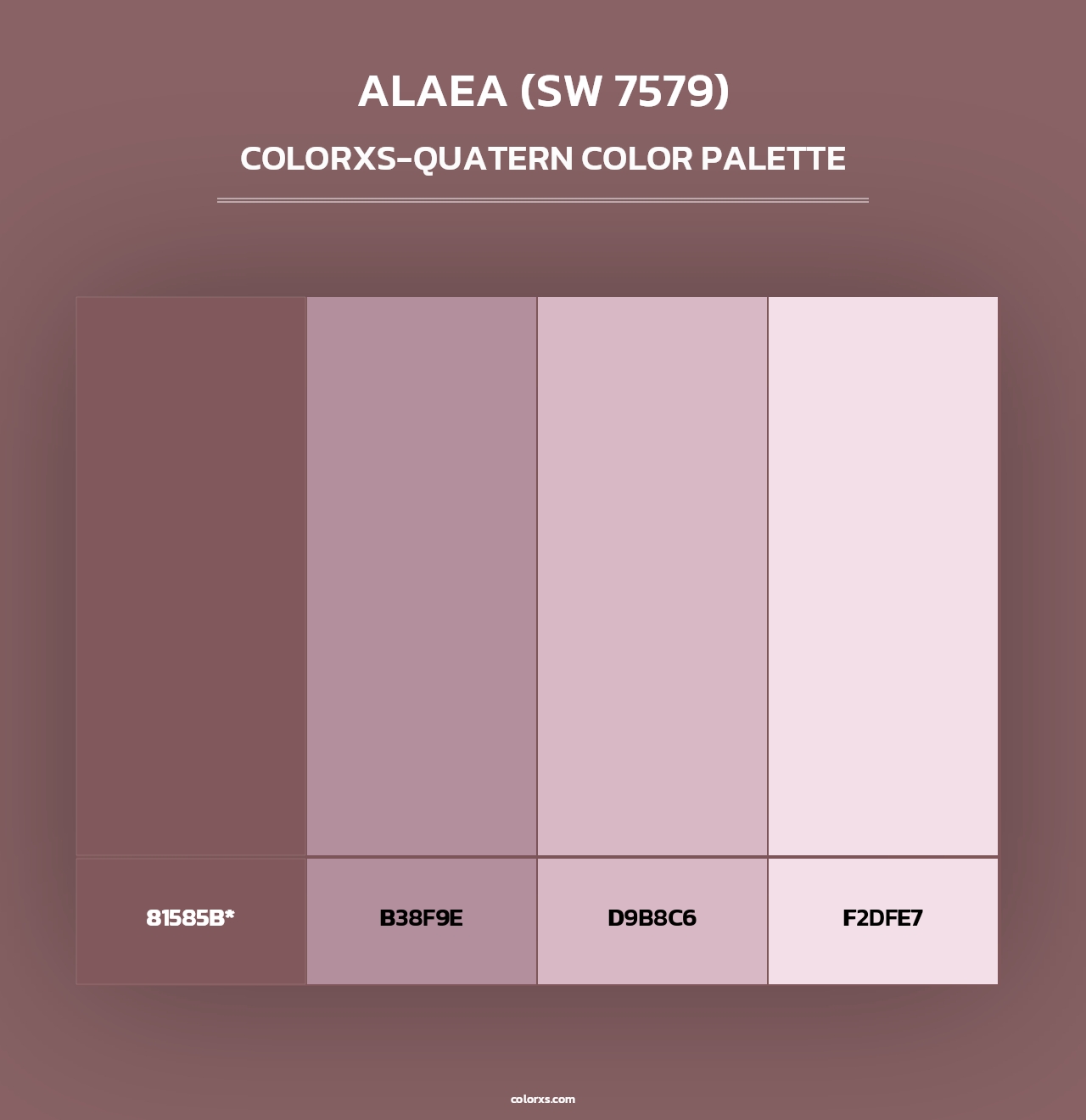 Alaea (SW 7579) - Colorxs Quad Palette