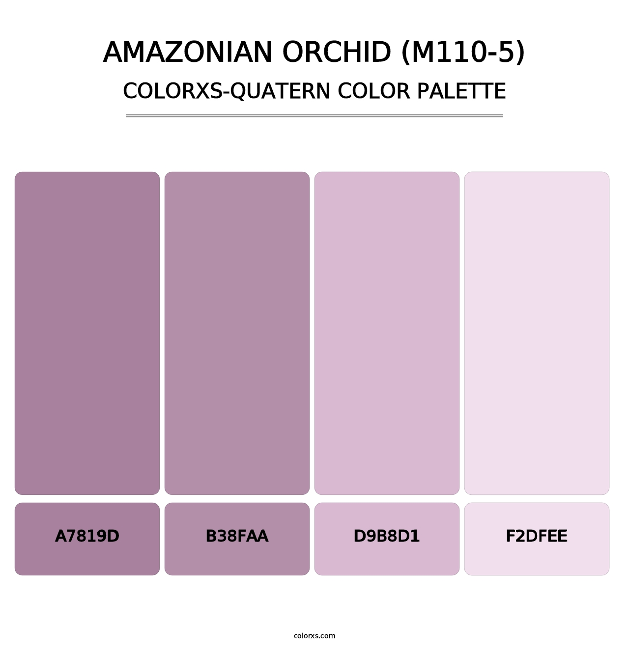 Amazonian Orchid (M110-5) - Colorxs Quatern Palette