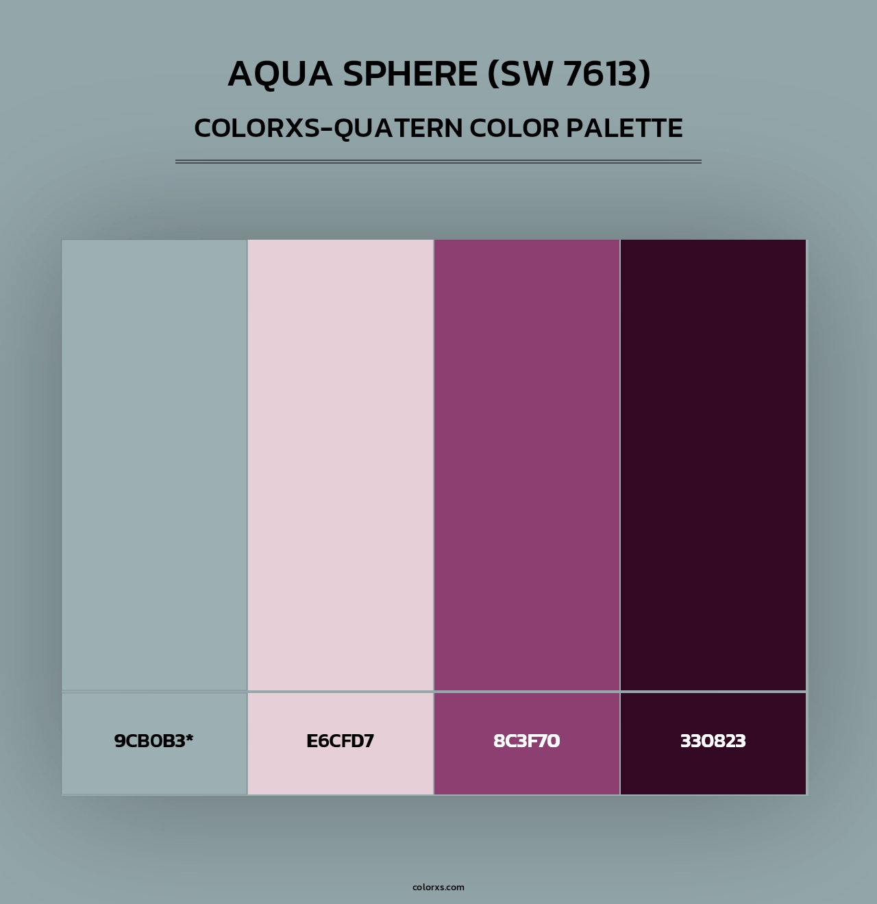 Aqua Sphere (SW 7613) - Colorxs Quad Palette