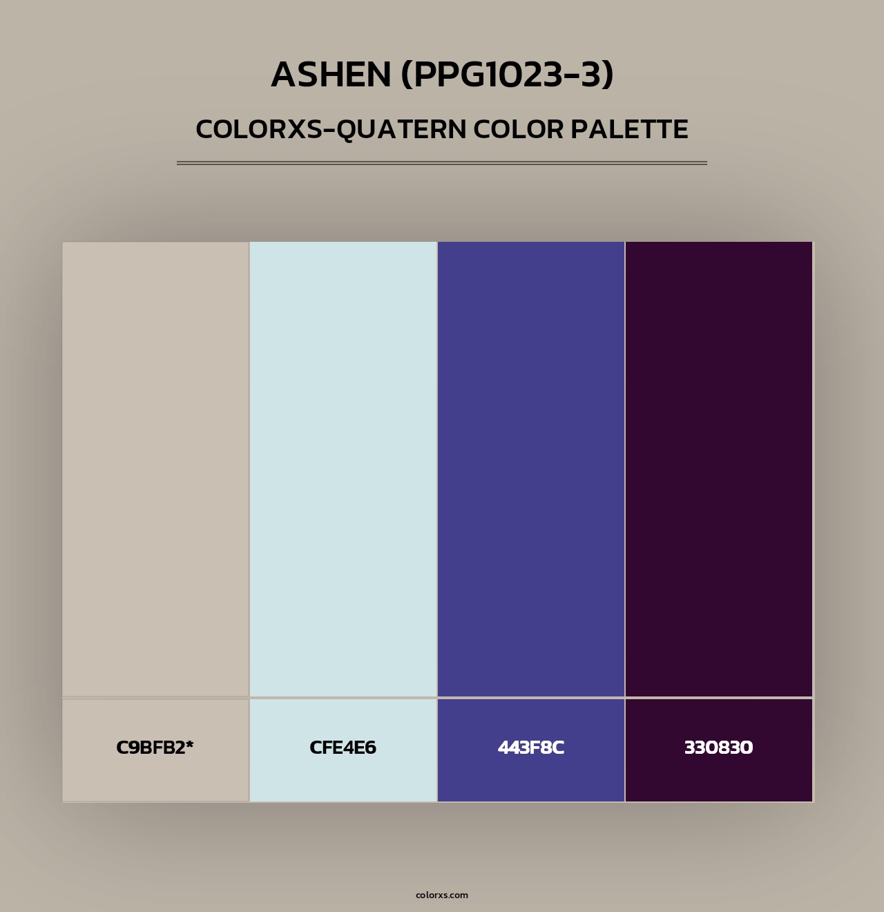 Ashen (PPG1023-3) - Colorxs Quad Palette