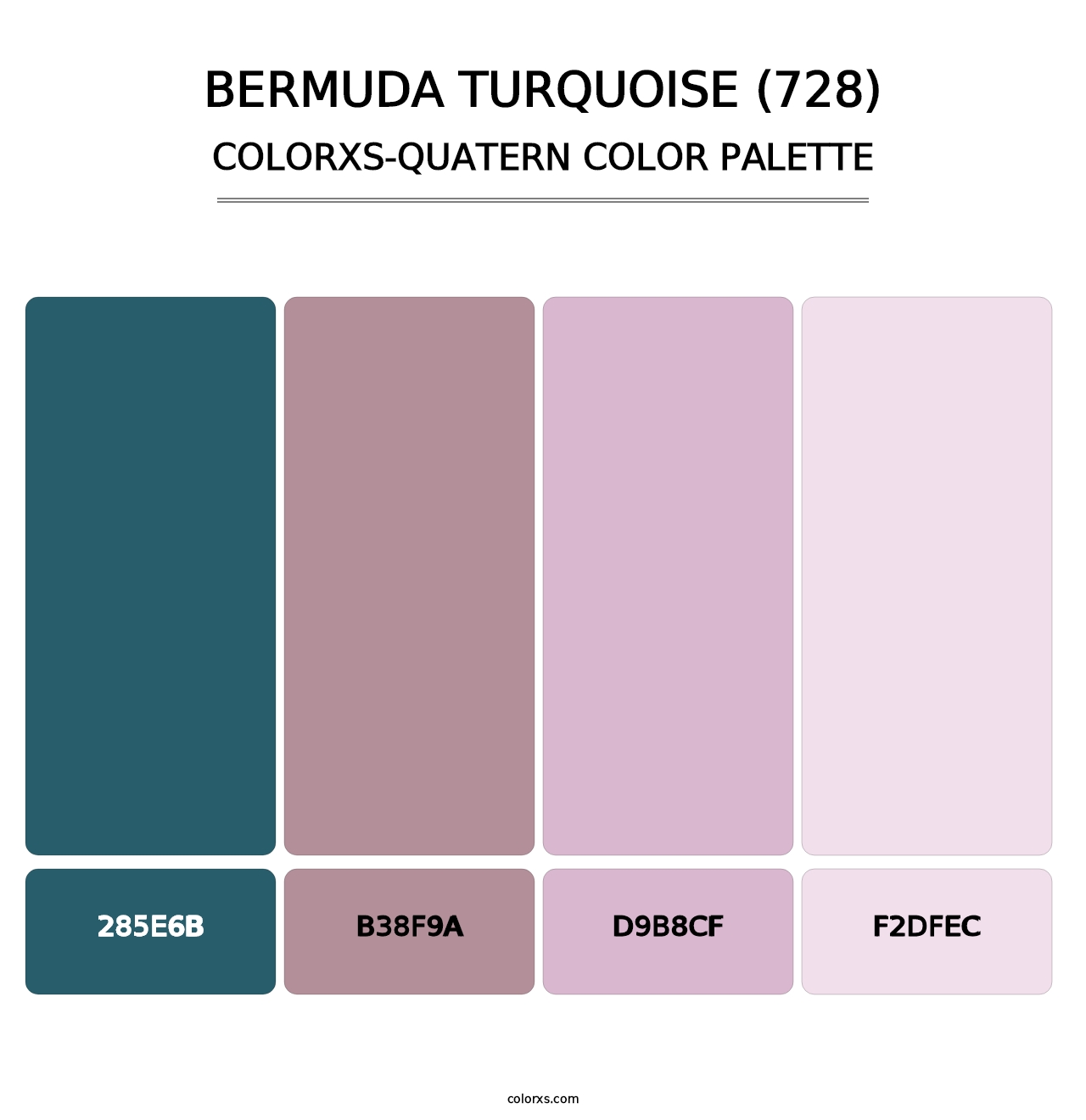 Bermuda Turquoise (728) - Colorxs Quatern Palette