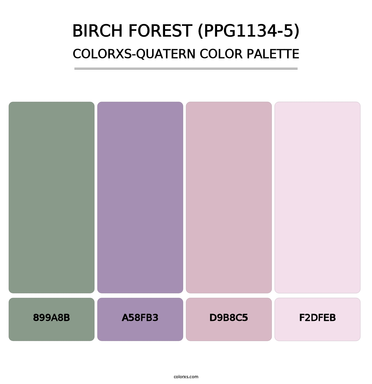 Birch Forest (PPG1134-5) - Colorxs Quatern Palette