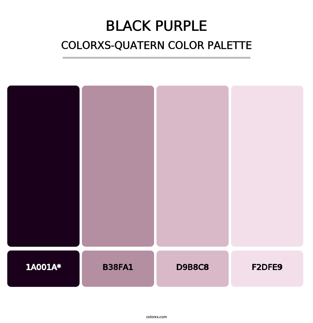 Black Purple - Colorxs Quatern Palette