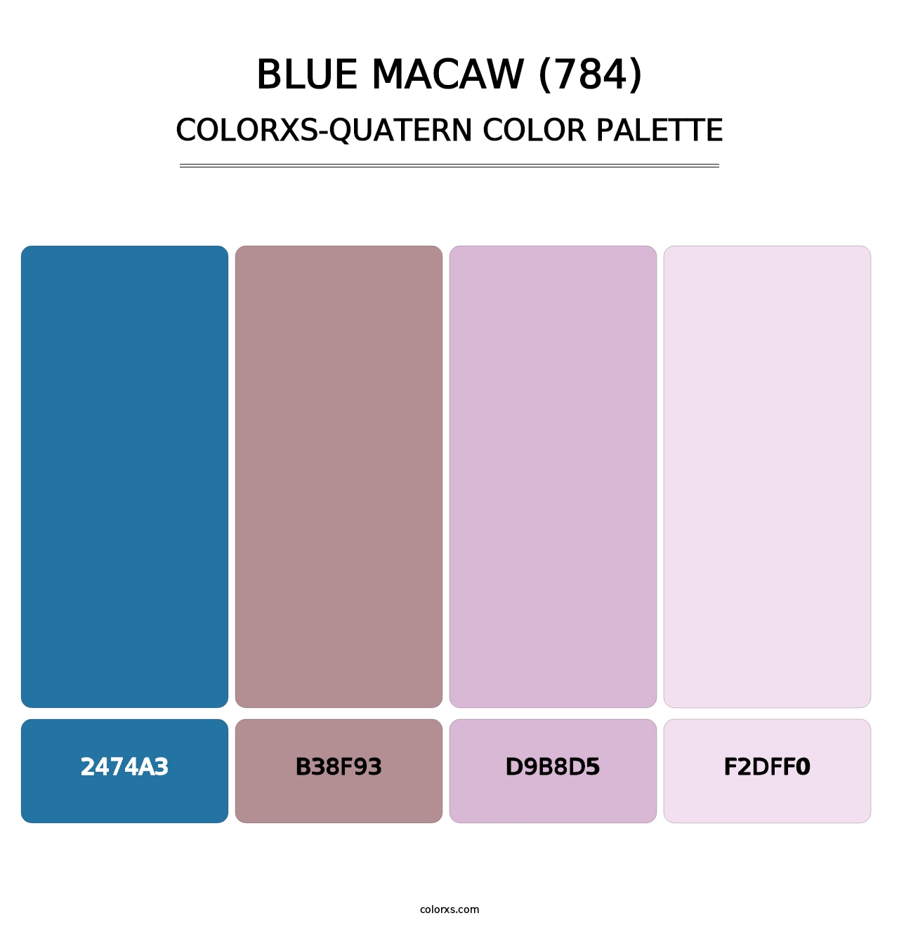 Blue Macaw (784) - Colorxs Quatern Palette
