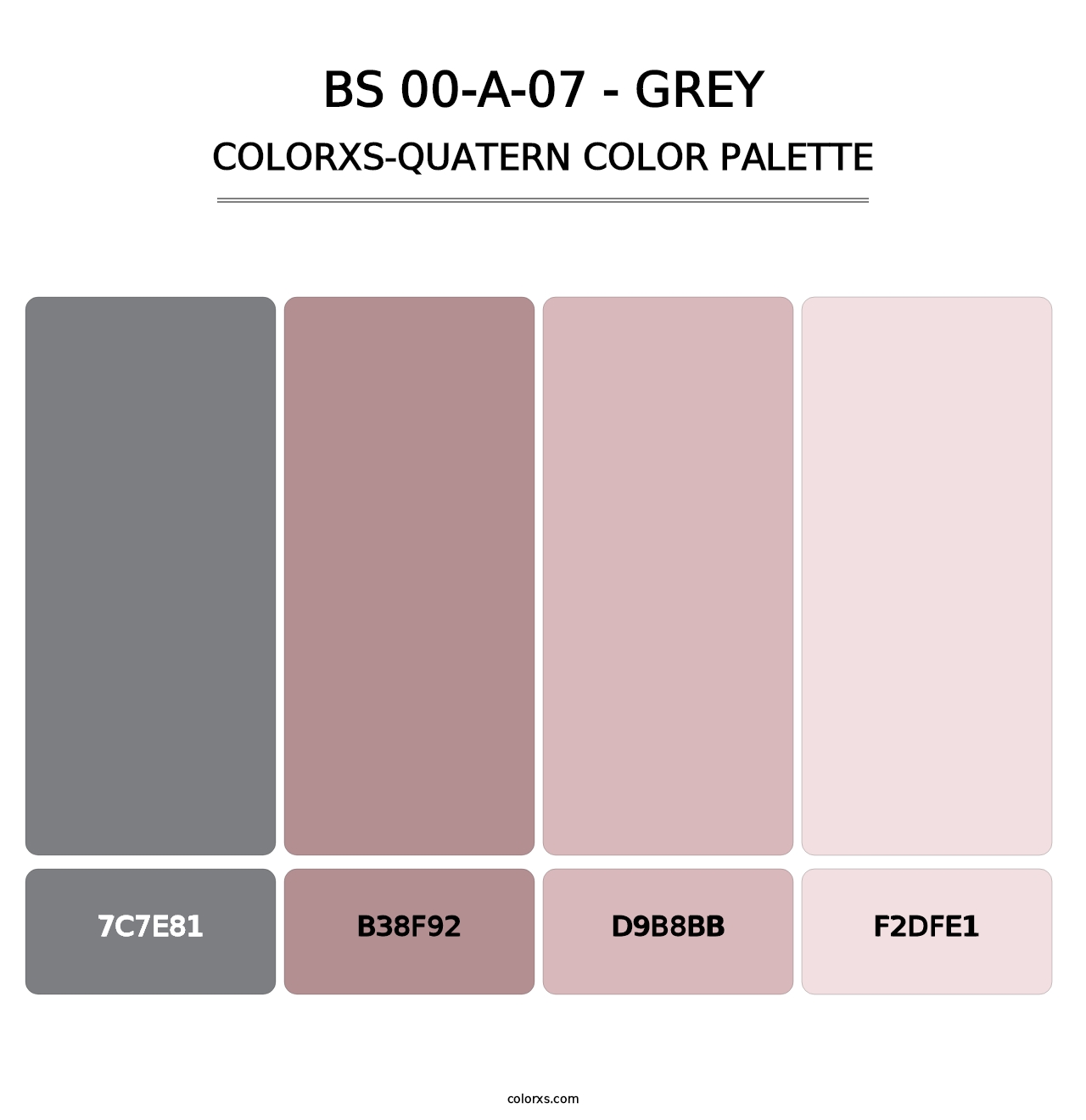 BS 00-A-07 - Grey - Colorxs Quatern Palette