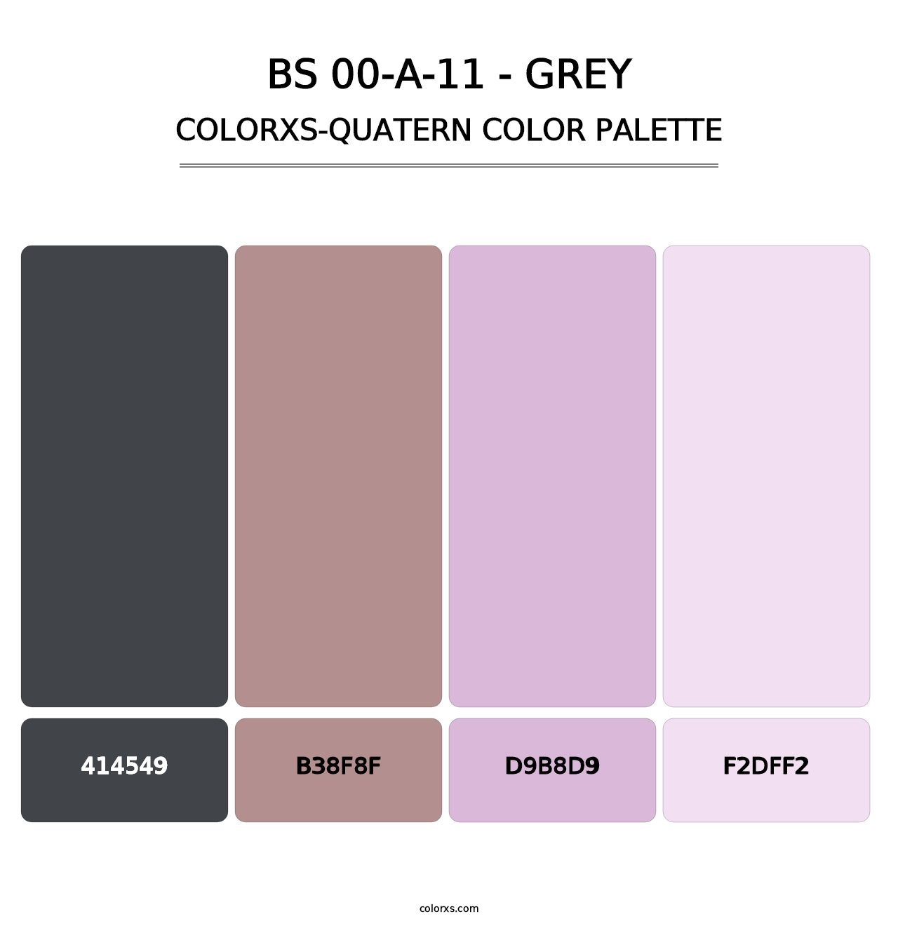 BS 00-A-11 - Grey - Colorxs Quatern Palette