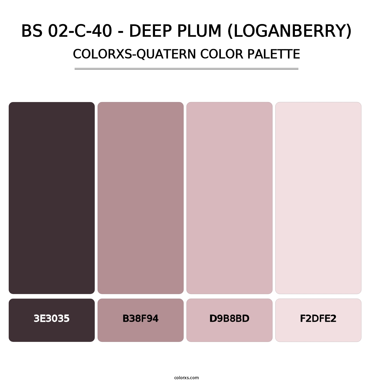 BS 02-C-40 - Deep Plum (Loganberry) - Colorxs Quatern Palette