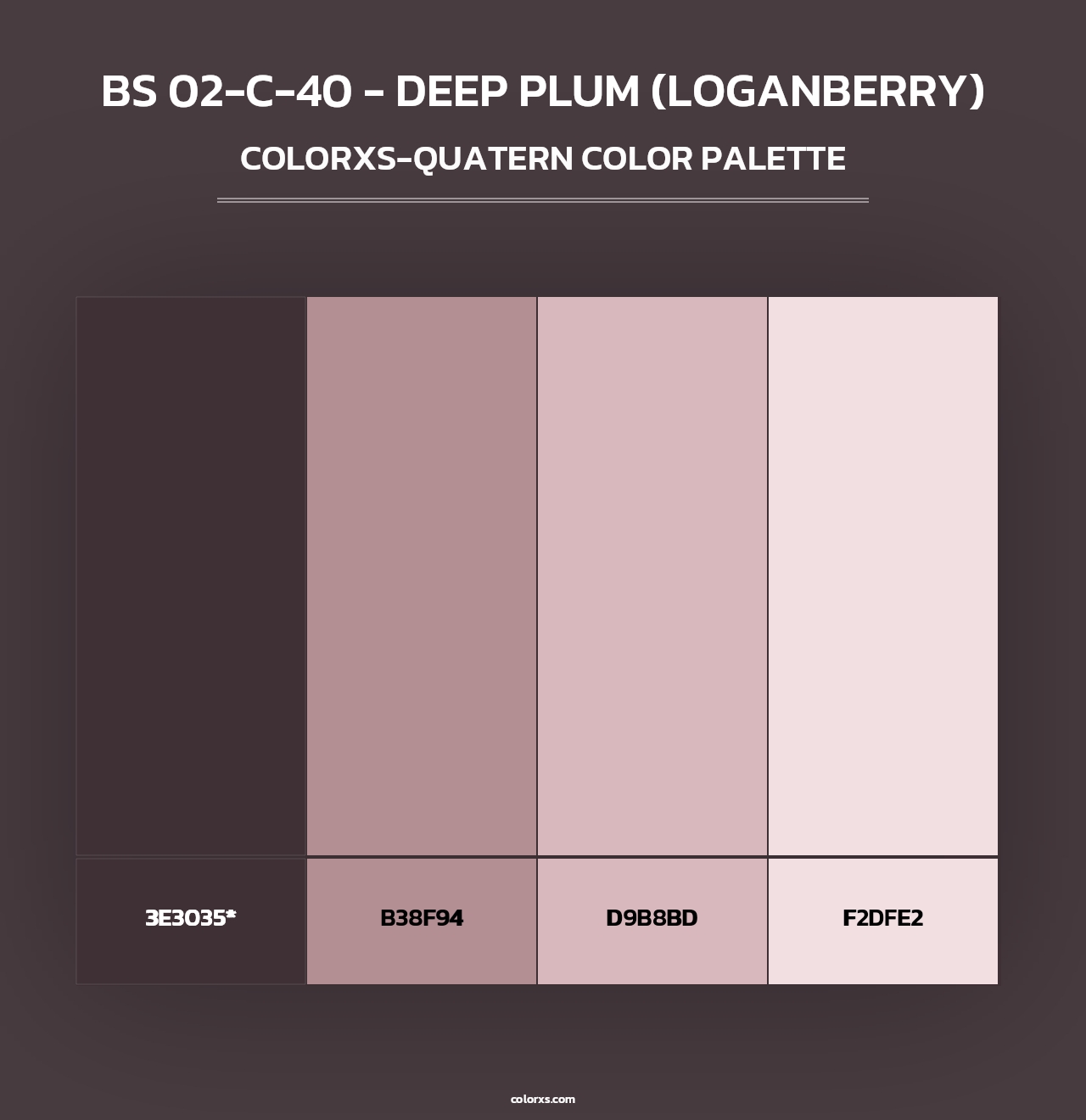 BS 02-C-40 - Deep Plum (Loganberry) - Colorxs Quad Palette