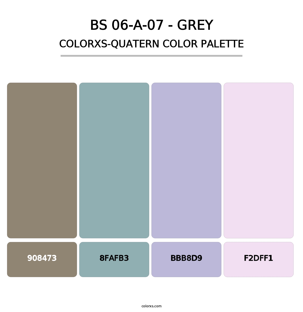 BS 06-A-07 - Grey - Colorxs Quatern Palette