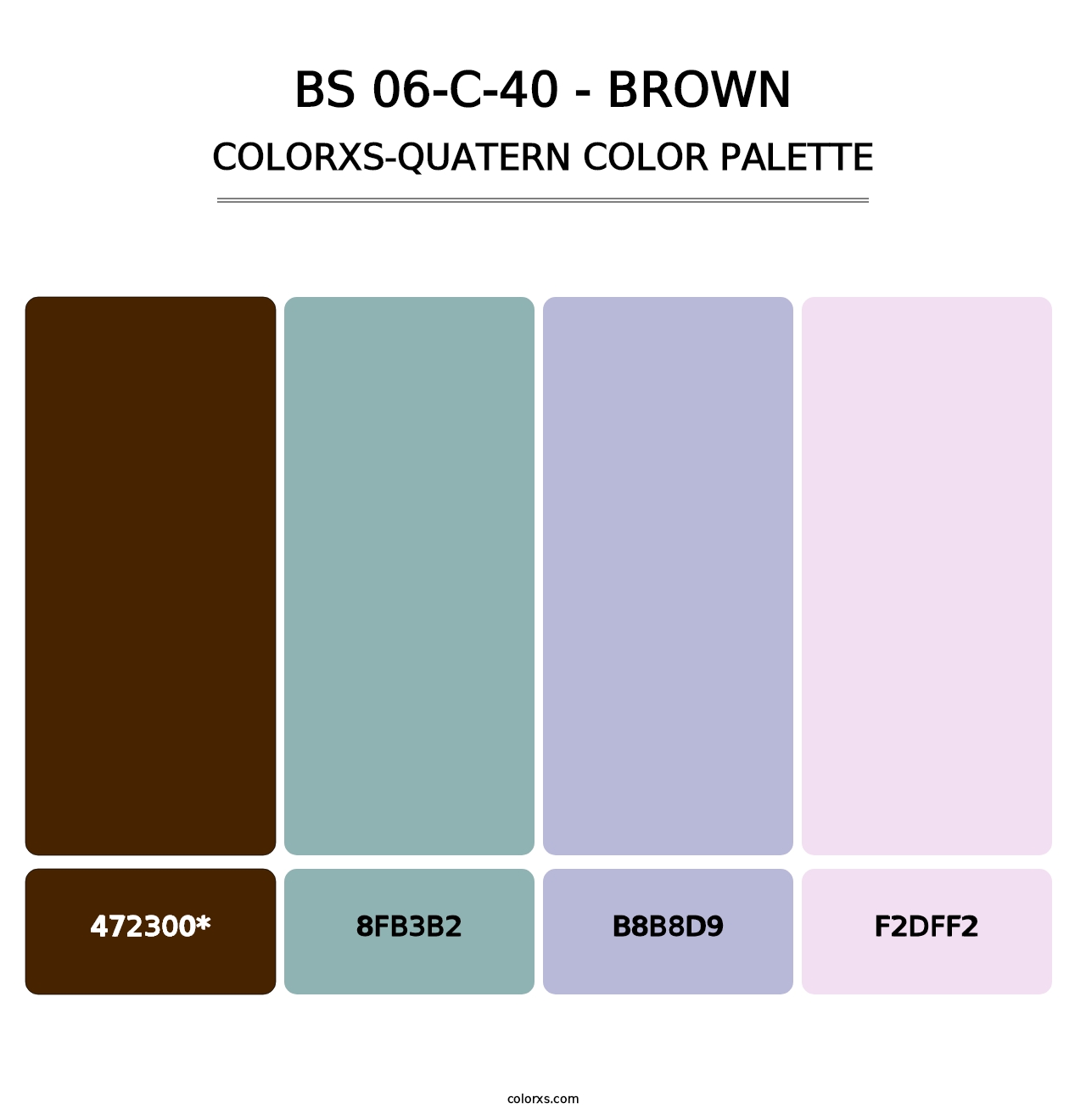 BS 06-C-40 - Brown - Colorxs Quatern Palette