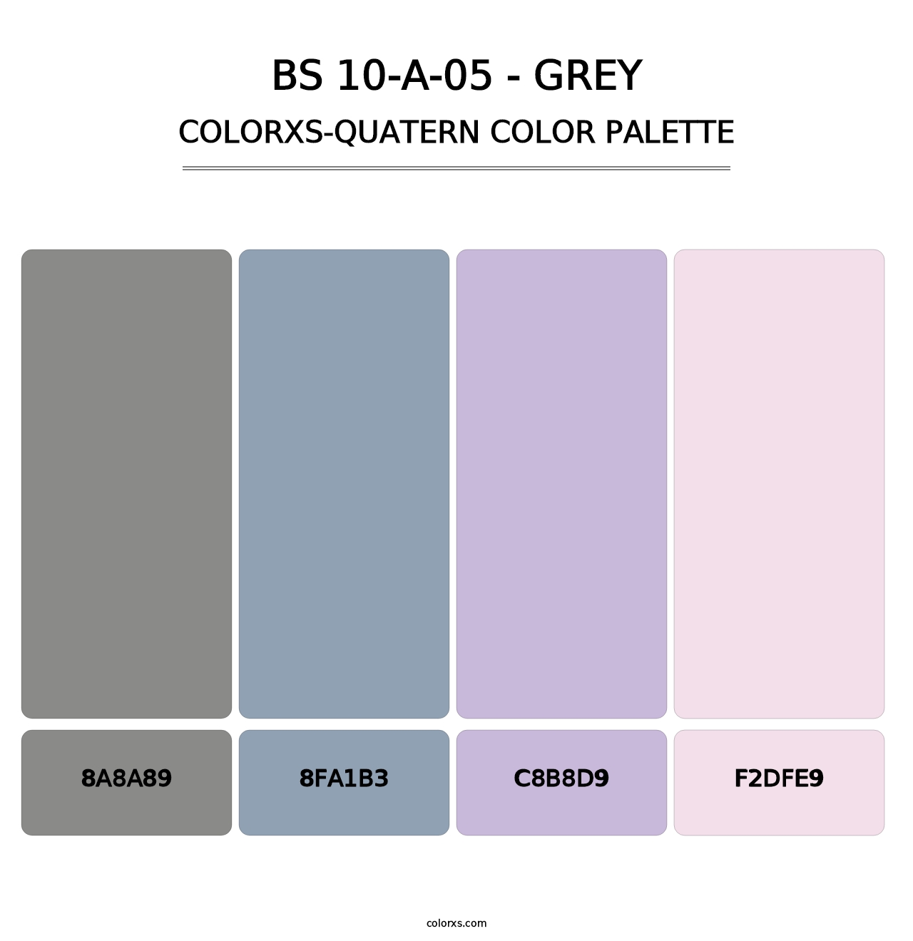 BS 10-A-05 - Grey - Colorxs Quatern Palette