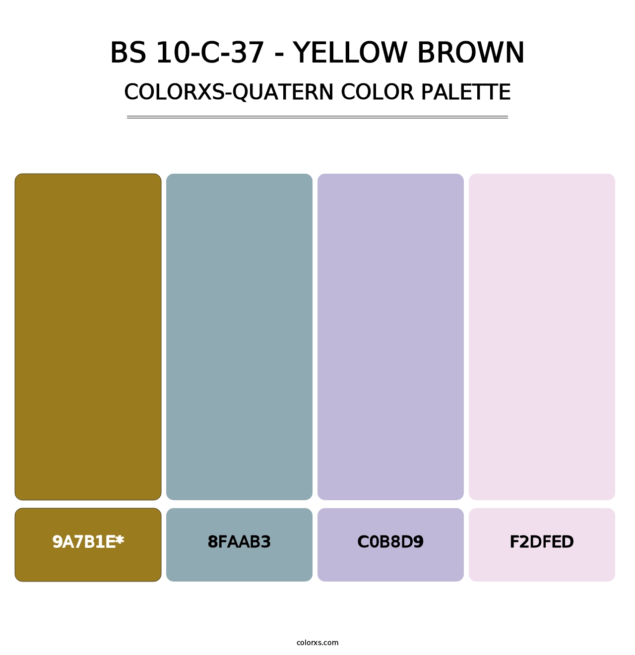 BS 10-C-37 - Yellow Brown - Colorxs Quatern Palette