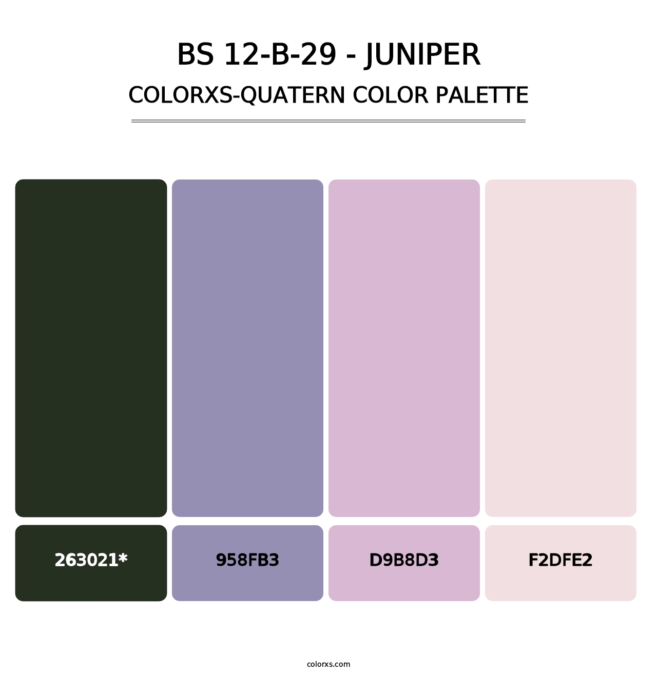 BS 12-B-29 - Juniper - Colorxs Quatern Palette
