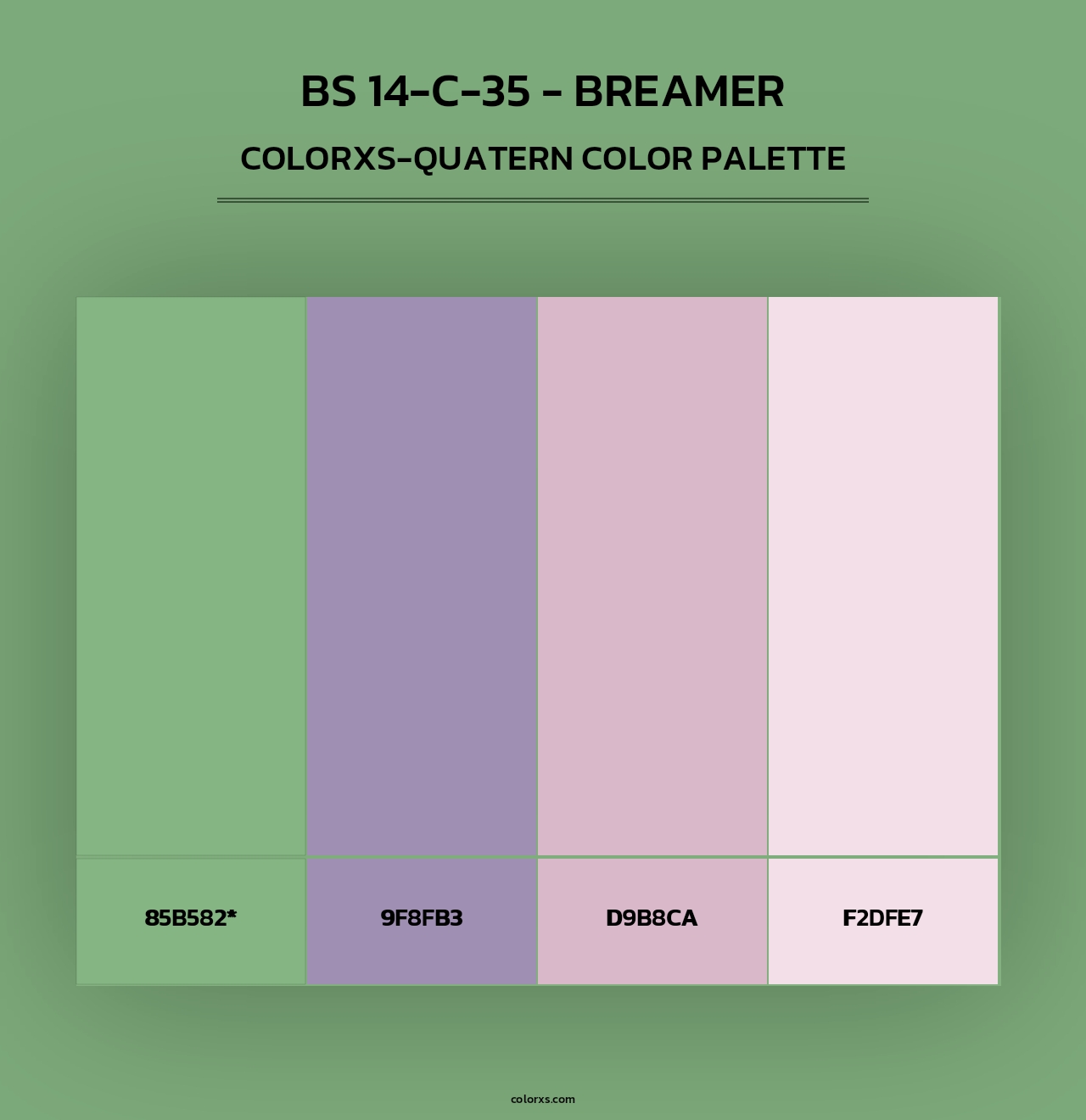 BS 14-C-35 - Breamer - Colorxs Quad Palette