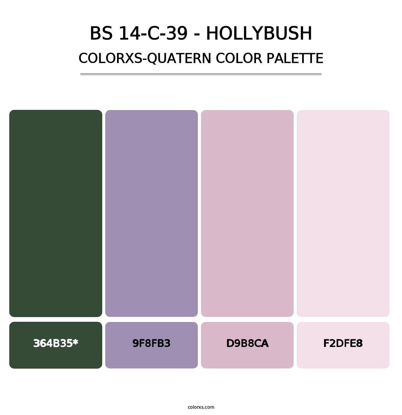 BS 14-C-39 - Hollybush - Colorxs Quatern Palette