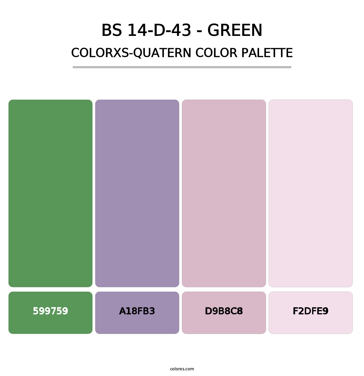 BS 14-D-43 - Green - Colorxs Quatern Palette