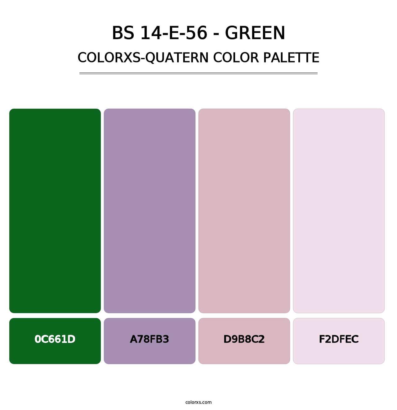 BS 14-E-56 - Green - Colorxs Quatern Palette
