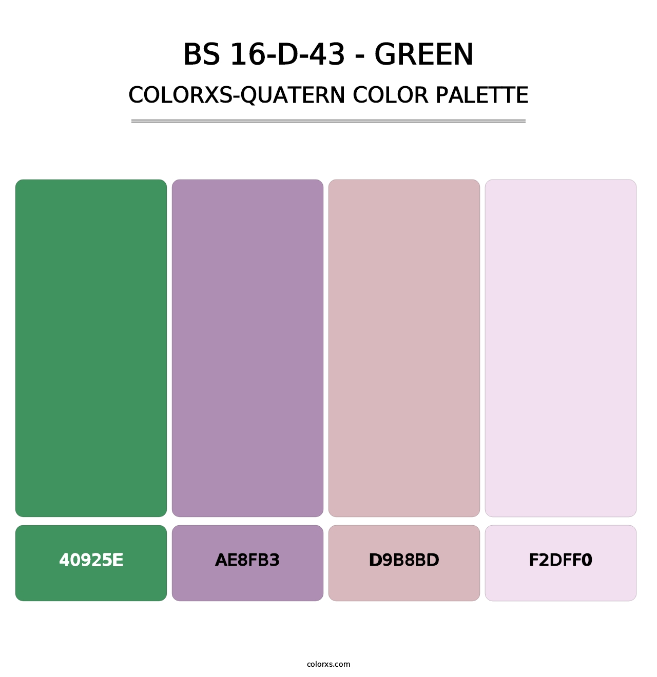 BS 16-D-43 - Green - Colorxs Quatern Palette