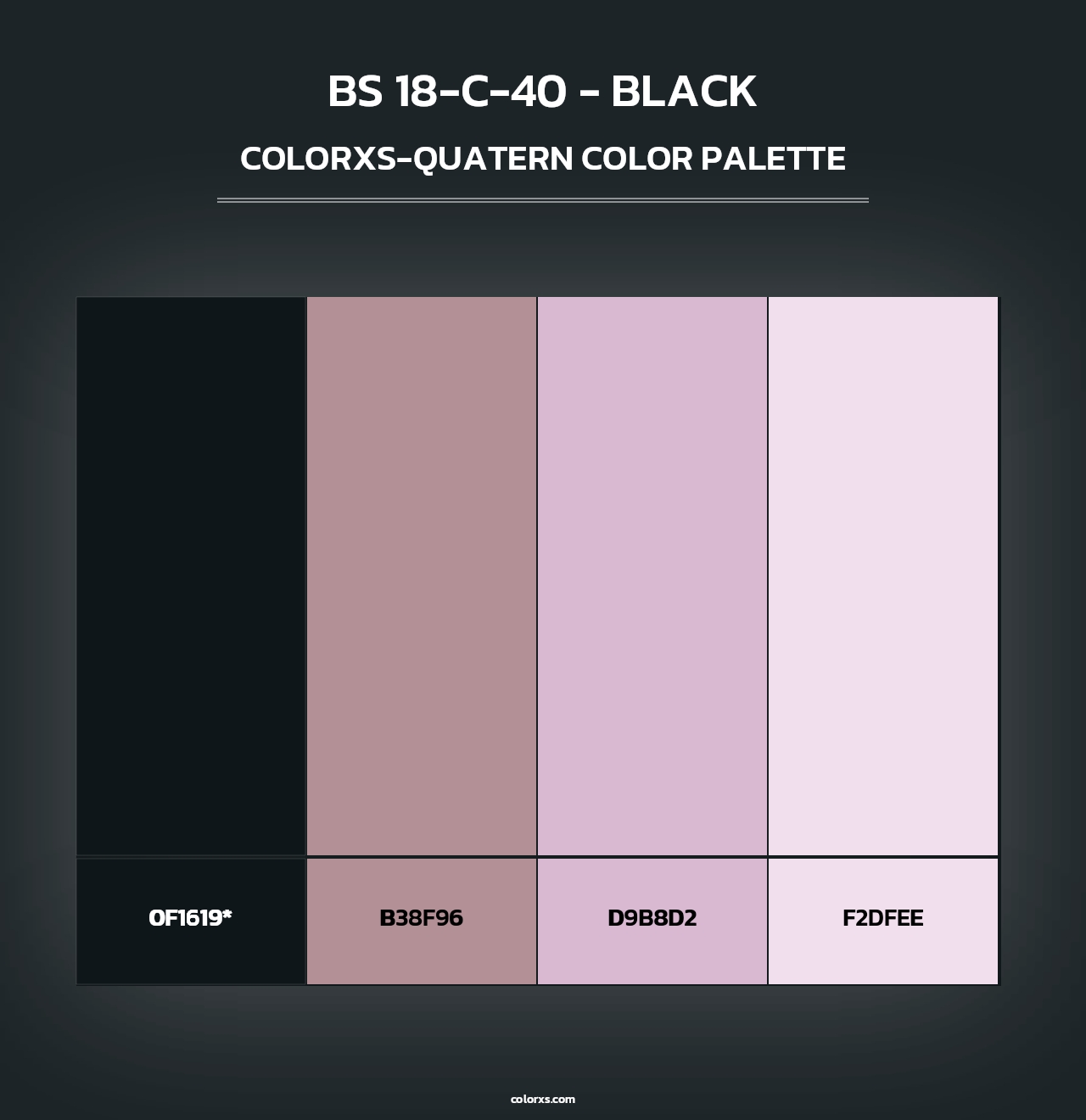 BS 18-C-40 - Black - Colorxs Quad Palette