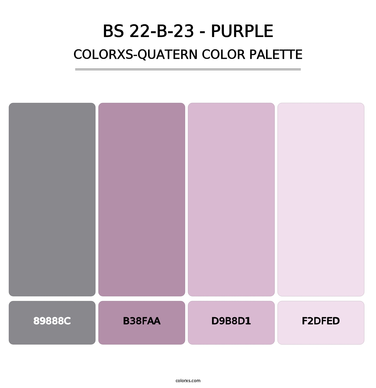 BS 22-B-23 - Purple - Colorxs Quatern Palette