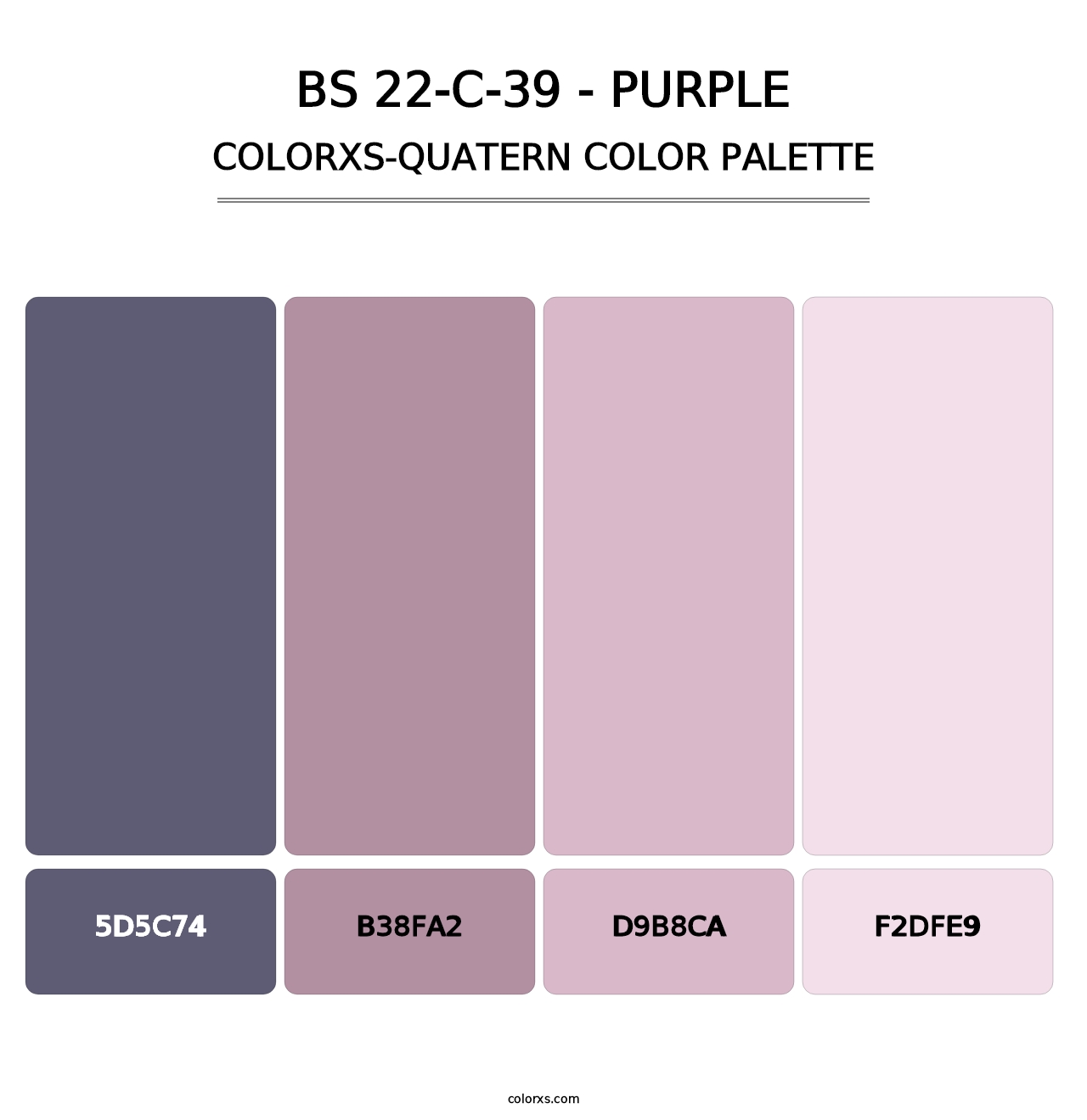 BS 22-C-39 - Purple - Colorxs Quatern Palette