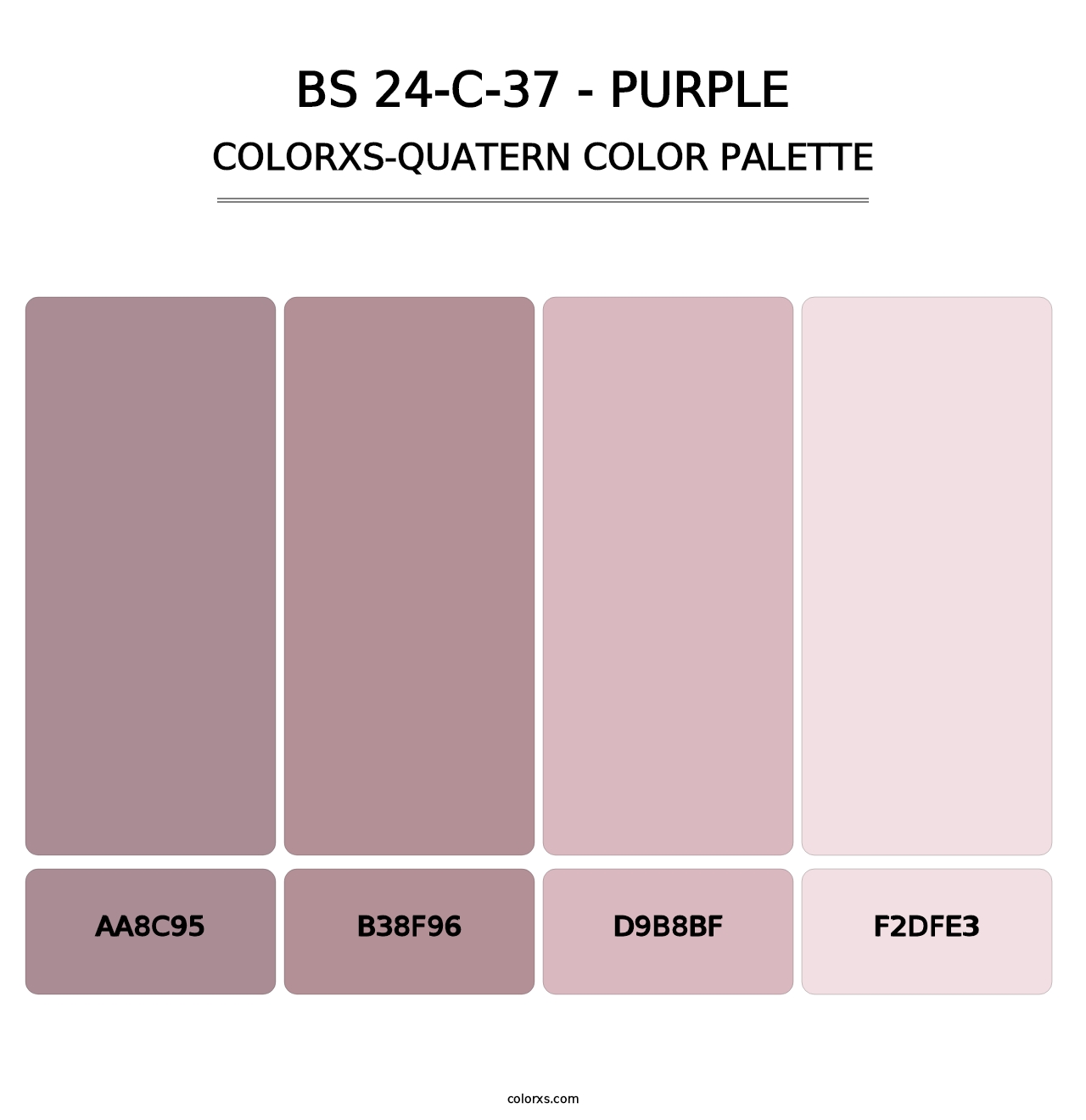 BS 24-C-37 - Purple - Colorxs Quatern Palette