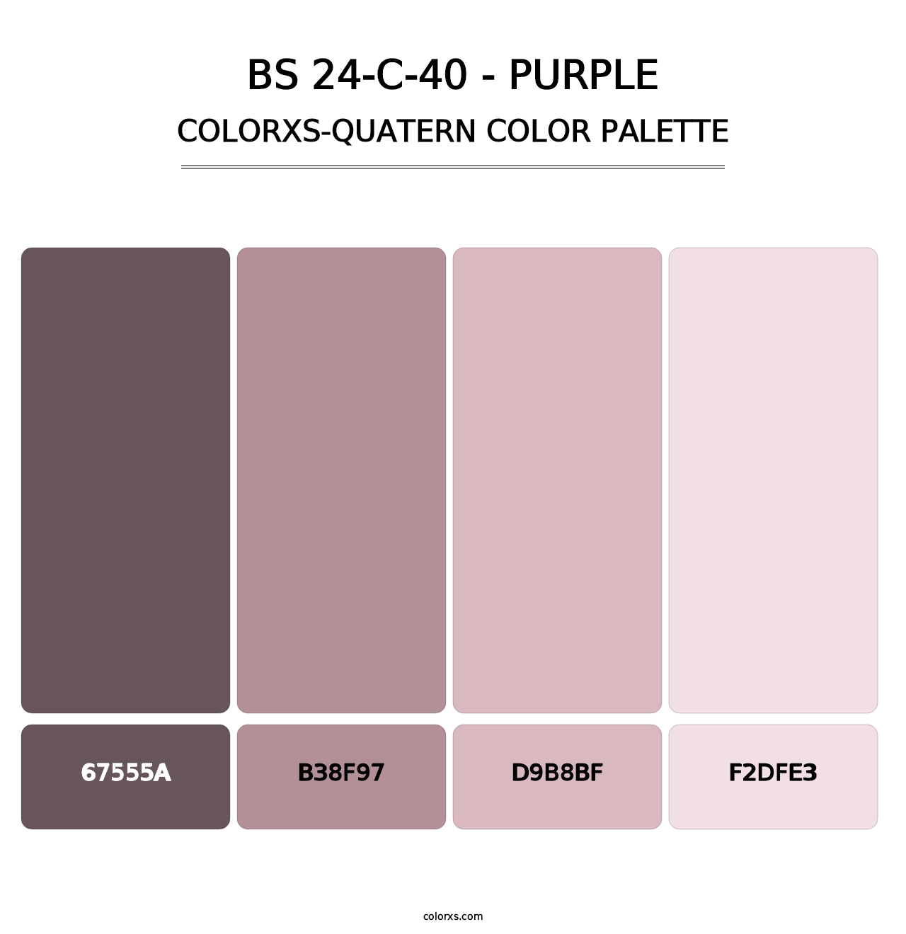BS 24-C-40 - Purple - Colorxs Quatern Palette