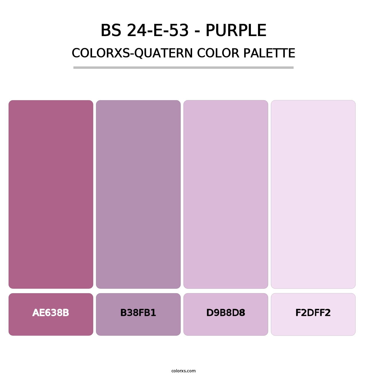 BS 24-E-53 - Purple - Colorxs Quatern Palette