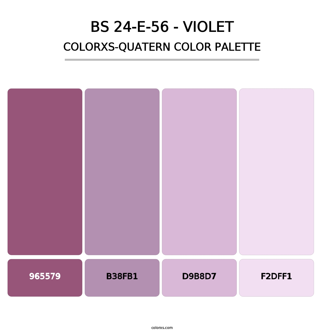 BS 24-E-56 - Violet - Colorxs Quatern Palette