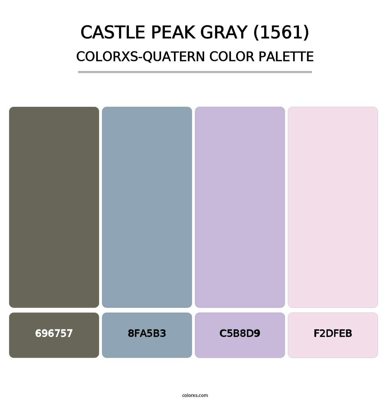 Castle Peak Gray (1561) - Colorxs Quatern Palette