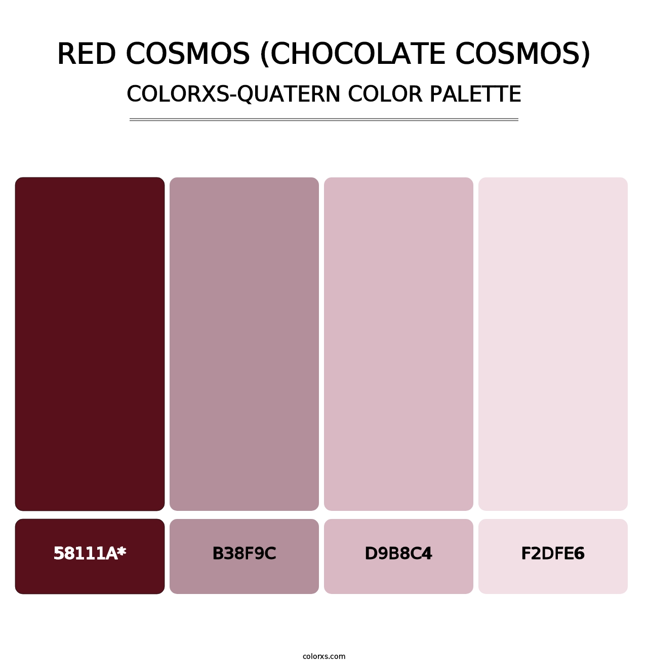 Red Cosmos (Chocolate Cosmos) - Colorxs Quatern Palette