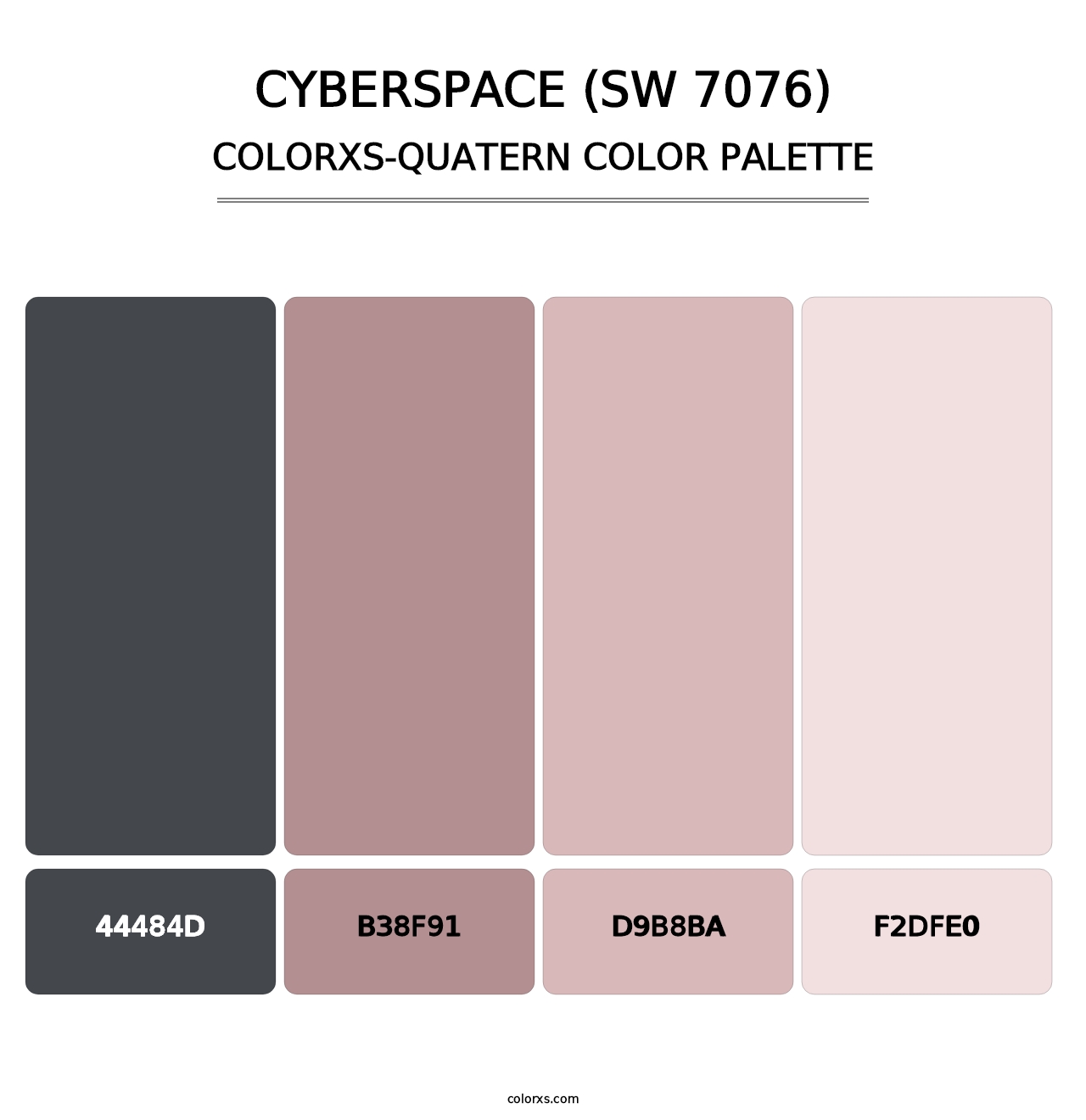 Cyberspace (SW 7076) - Colorxs Quatern Palette
