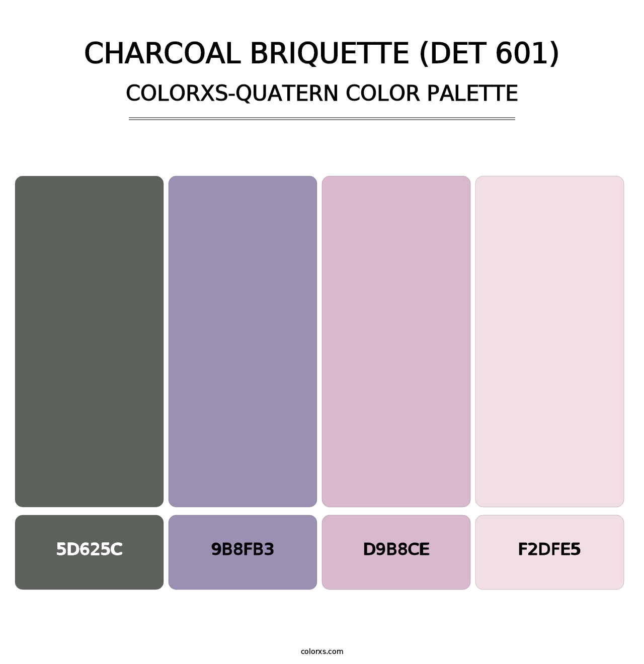 Charcoal Briquette (DET 601) - Colorxs Quatern Palette