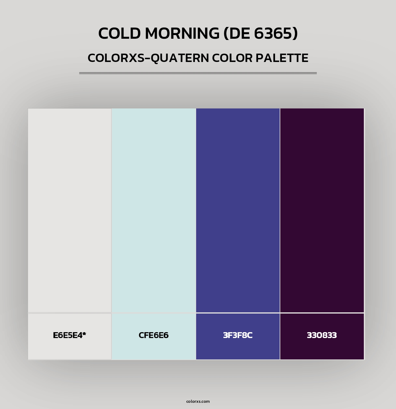 Cold Morning (DE 6365) - Colorxs Quad Palette