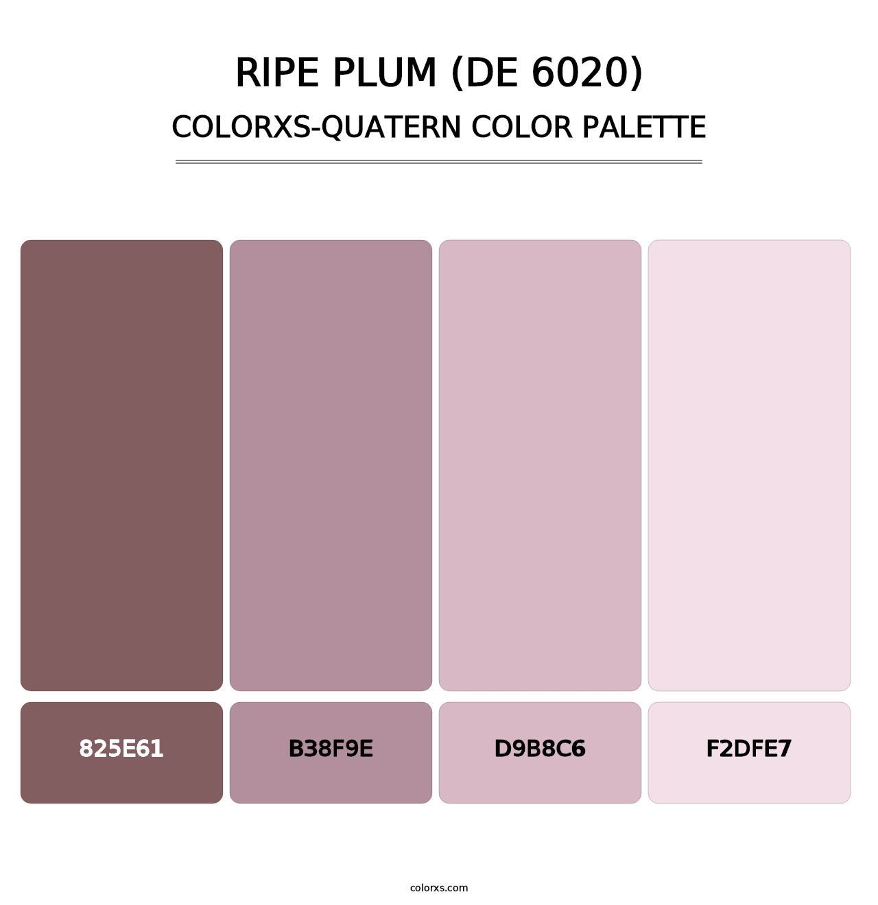 Ripe Plum (DE 6020) - Colorxs Quatern Palette
