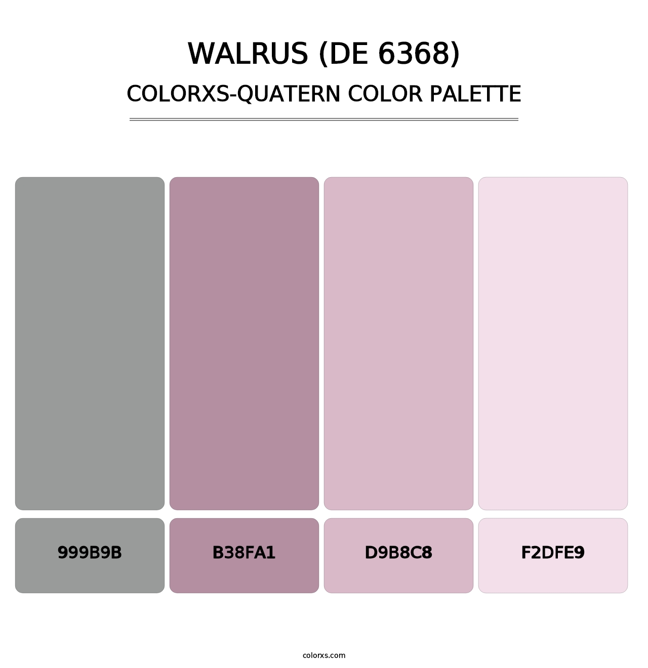 Walrus (DE 6368) - Colorxs Quatern Palette