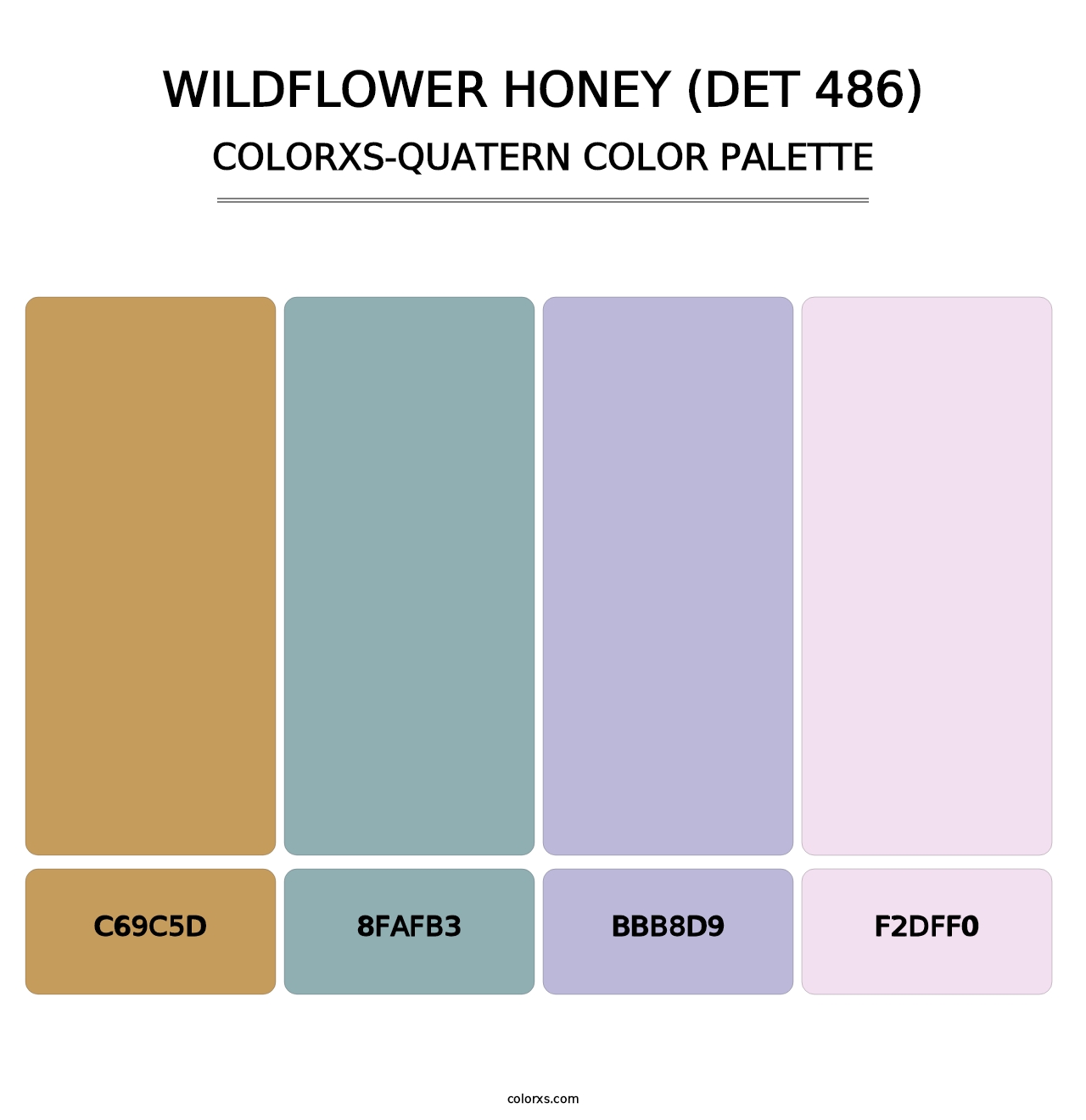 Wildflower Honey (DET 486) - Colorxs Quatern Palette