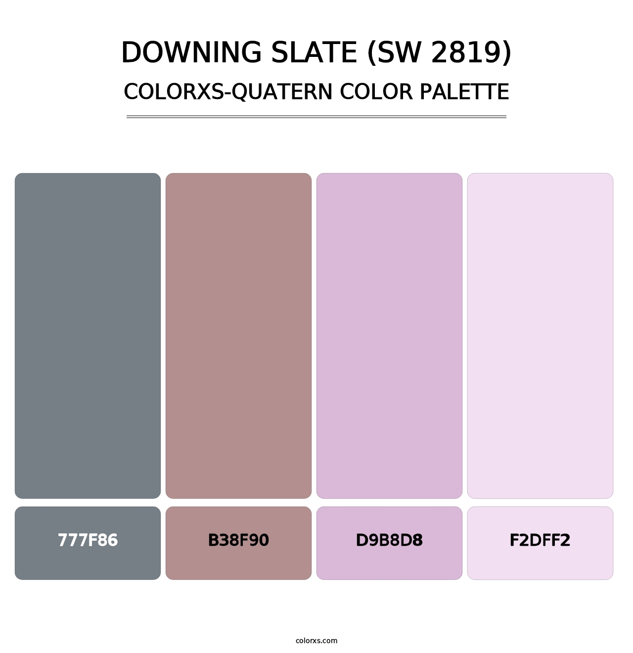 Downing Slate (SW 2819) - Colorxs Quatern Palette