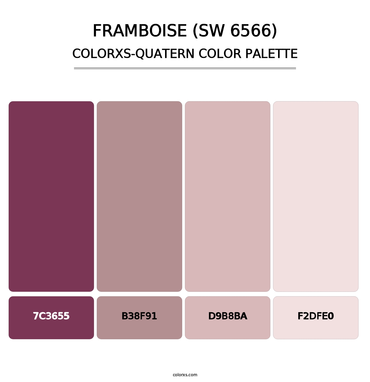 Framboise (SW 6566) - Colorxs Quatern Palette