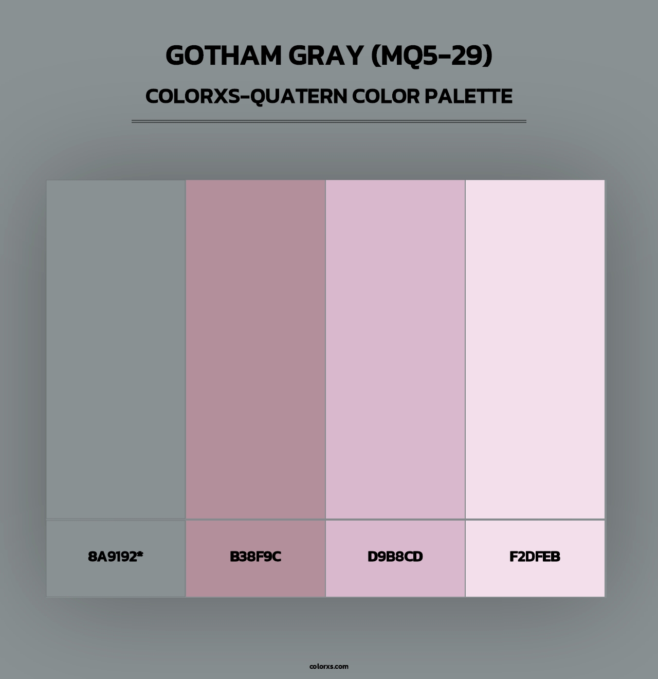 Gotham Gray (MQ5-29) - Colorxs Quad Palette