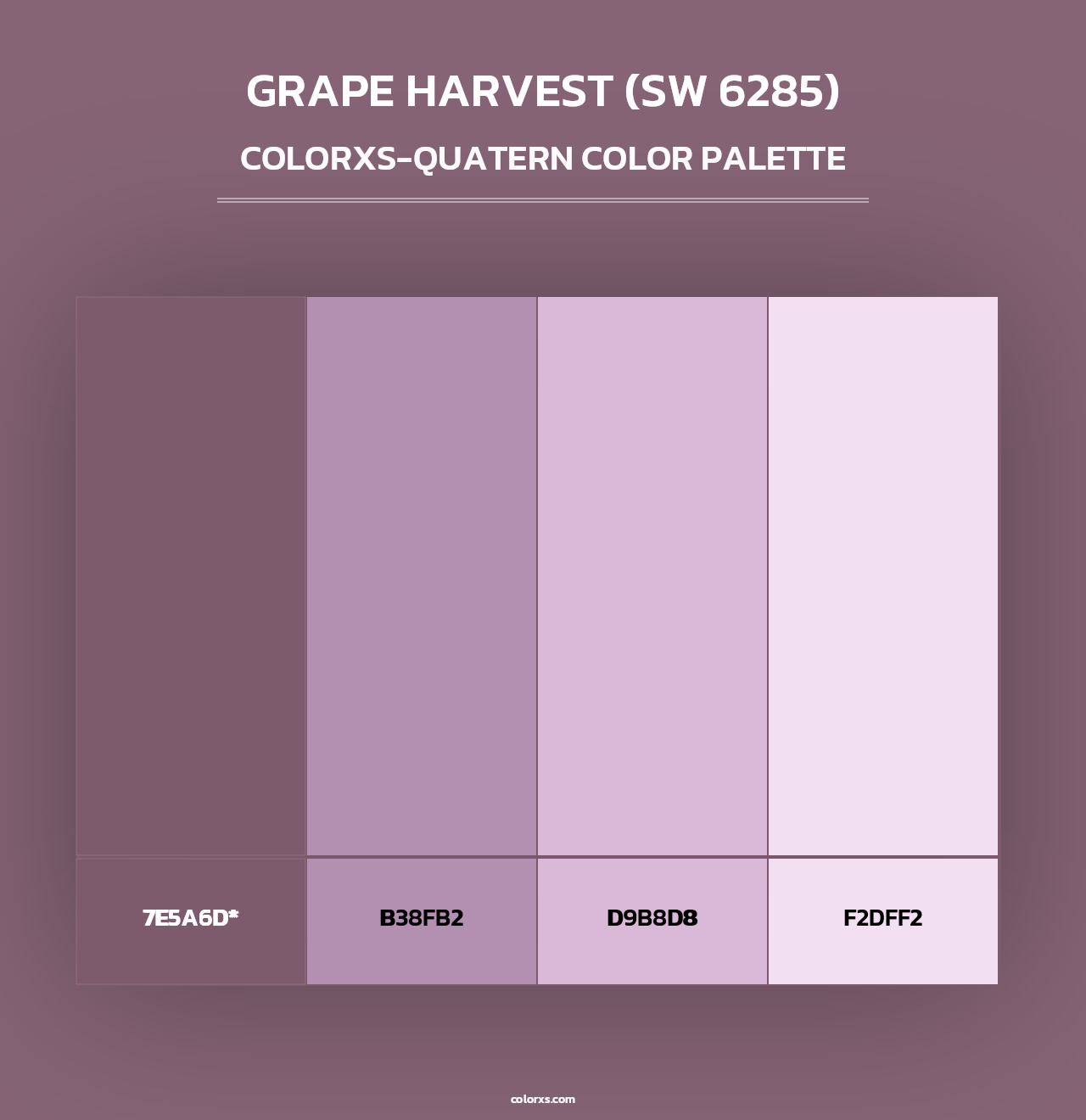 Grape Harvest (SW 6285) - Colorxs Quad Palette
