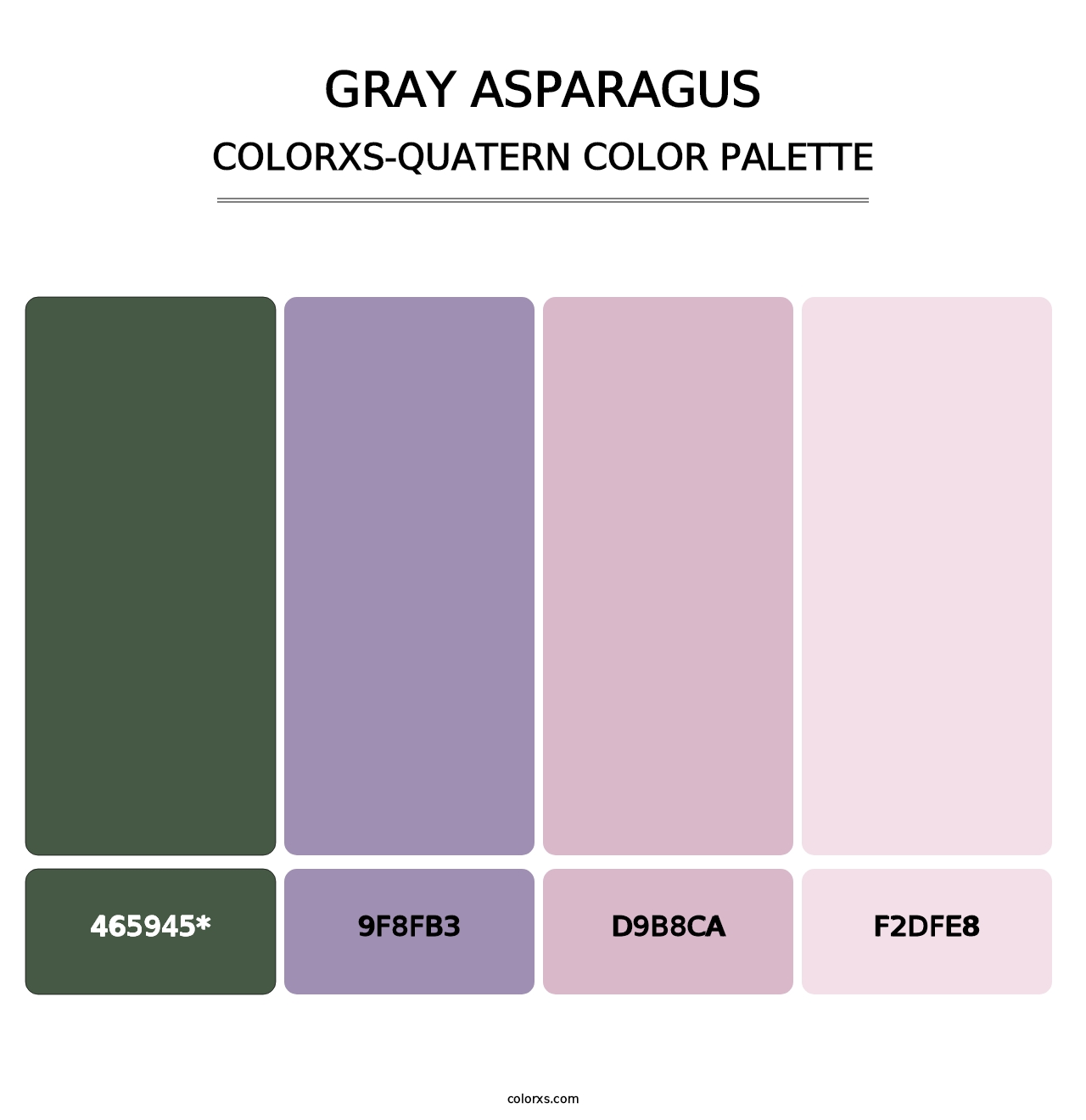 Gray Asparagus - Colorxs Quatern Palette