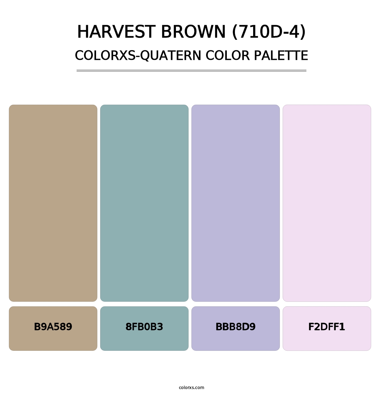 Harvest Brown (710D-4) - Colorxs Quatern Palette