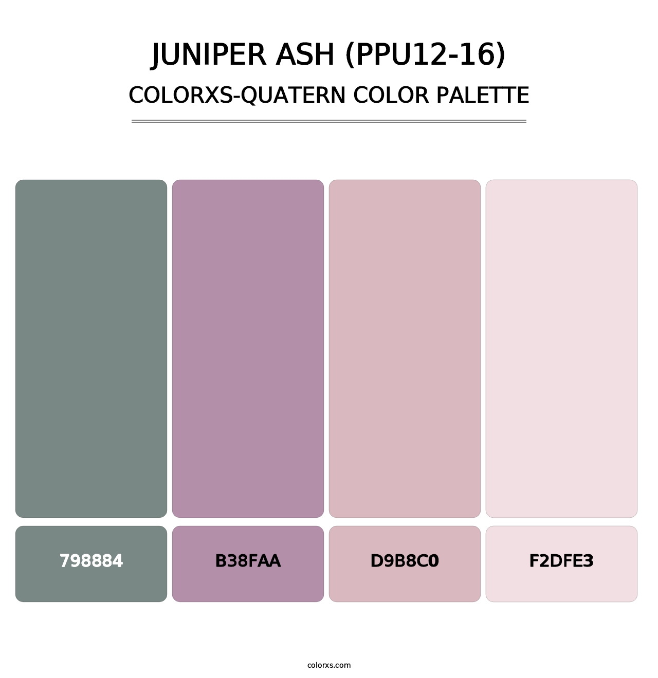 Juniper Ash (PPU12-16) - Colorxs Quatern Palette