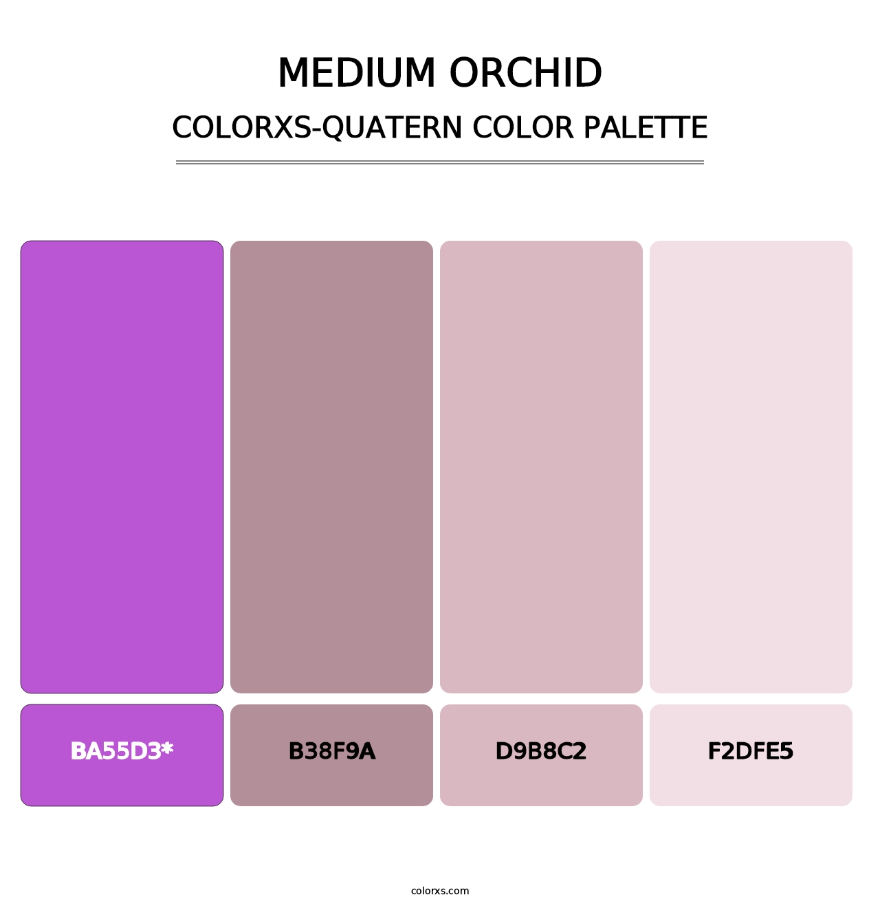 Medium Orchid - Colorxs Quatern Palette