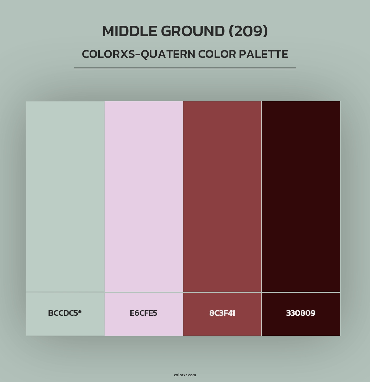 Middle Ground (209) - Colorxs Quad Palette