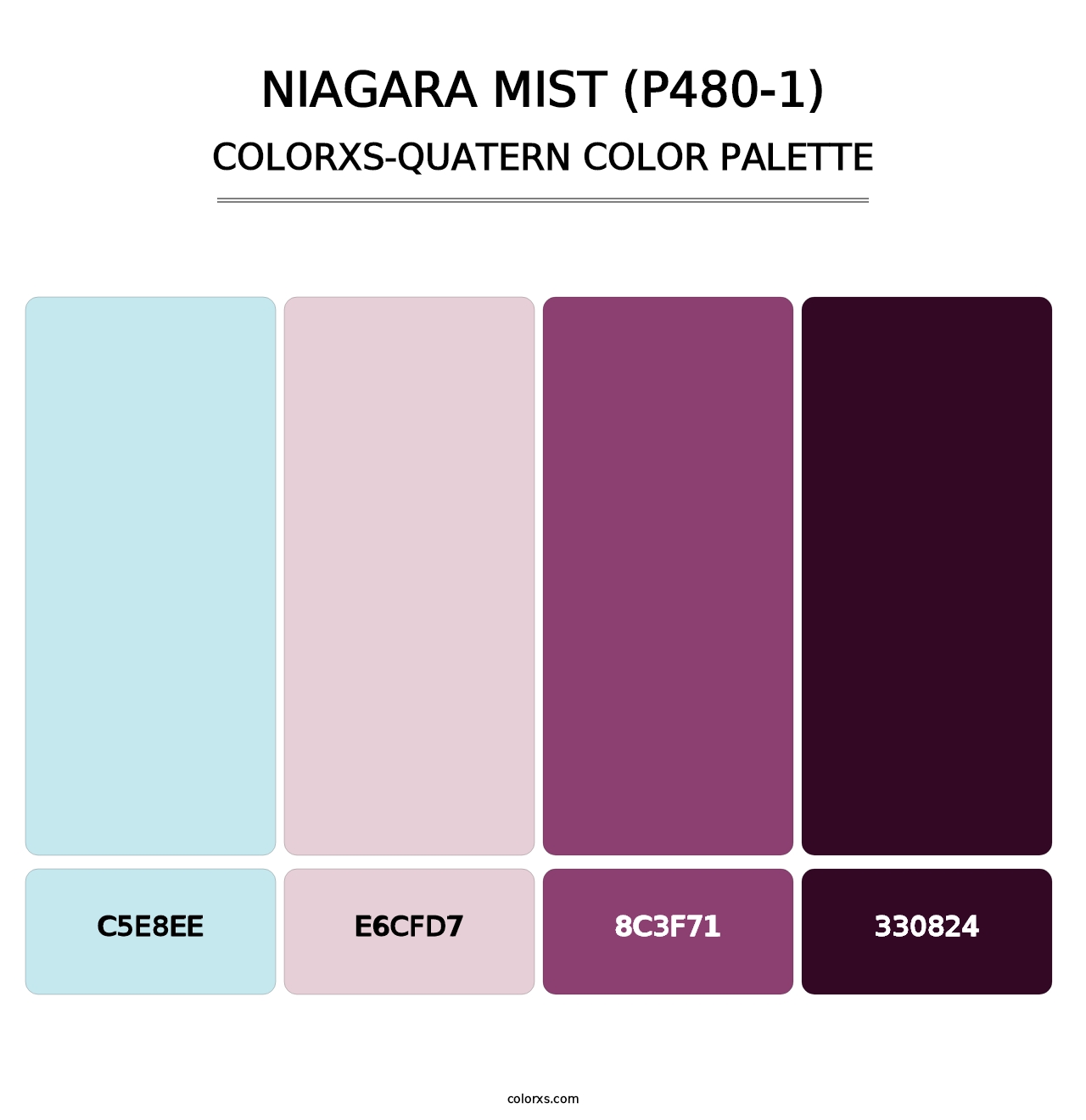 Niagara Mist (P480-1) - Colorxs Quatern Palette