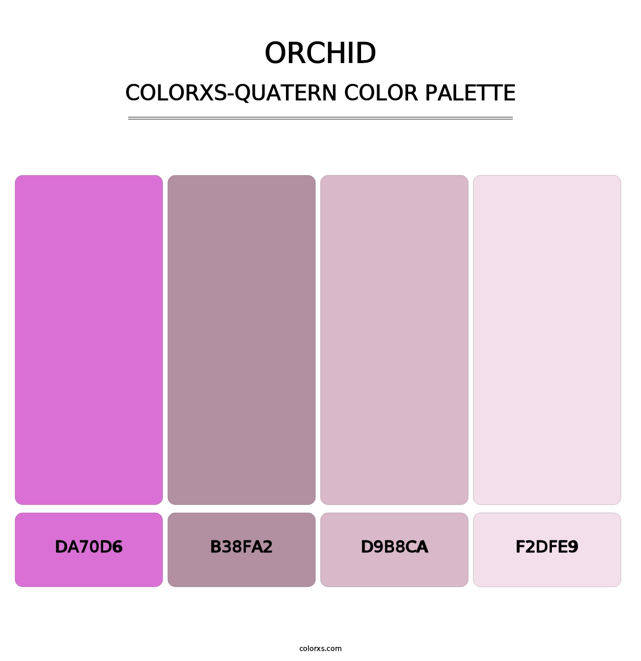 Orchid - Colorxs Quatern Palette