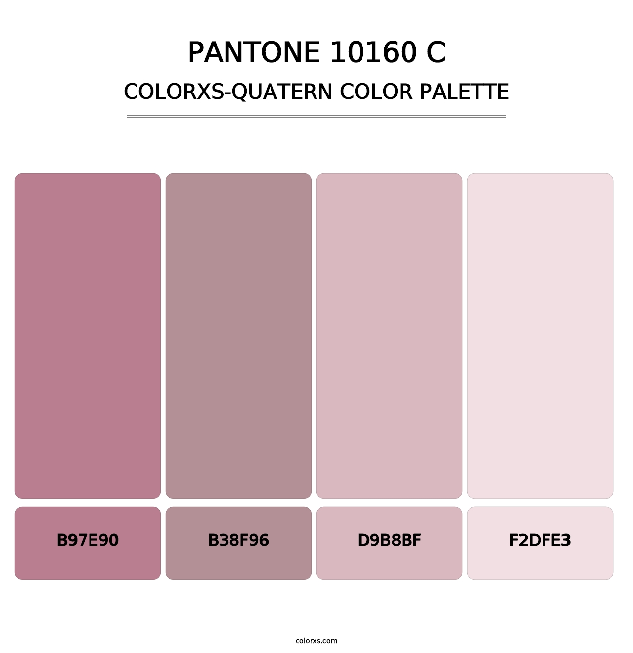 PANTONE 10160 C - Colorxs Quatern Palette
